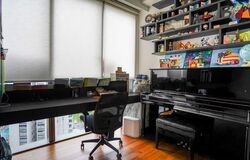 Amber Park (D15), Condominium #573393031